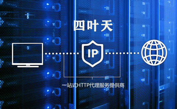 【鹤岗代理IP】代理IP的主要用途和使用注意事项